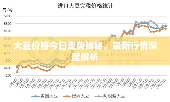 大豆價格今日走勢揭秘,最新行情深度解析