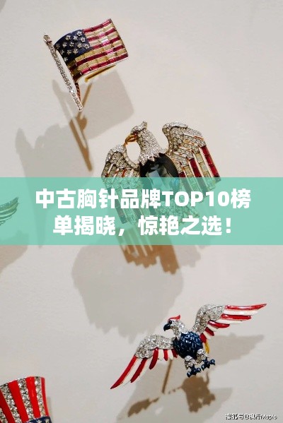 中古胸針品牌TOP10榜單揭曉，驚艷之選！