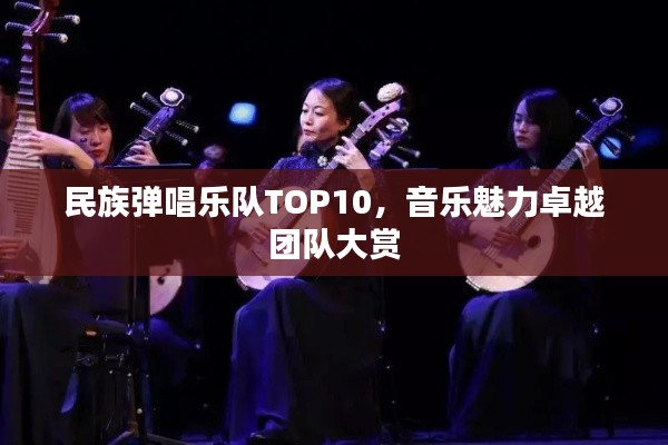 民族彈唱樂隊TOP10,音樂魅力卓越團隊大賞