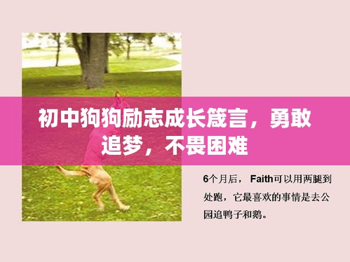 初中狗狗勵志成長箴言，勇敢追夢，不畏困難