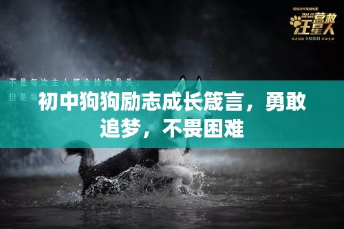 初中狗狗勵(lì)志成長(zhǎng)箴言,勇敢追夢(mèng),不畏困難