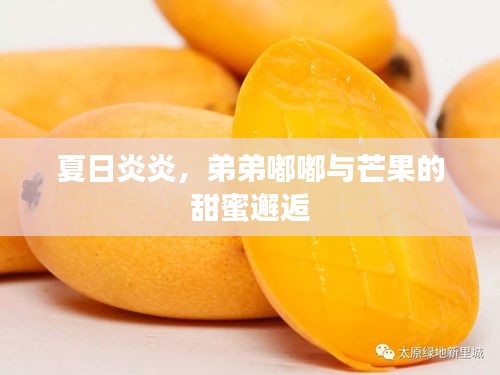 夏日炎炎,弟弟嘟嘟與芒果的甜蜜邂逅