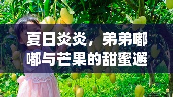 夏日炎炎,弟弟嘟嘟與芒果的甜蜜邂逅