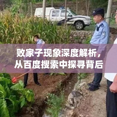 敗家子現象深度解析,從百度搜索中探尋背后的故事