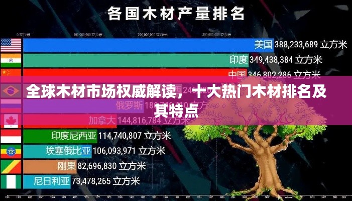 全球木材市場權威解讀,十大熱門木材排名及其特點
