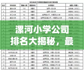 漯河小學公司排名大揭秘，最新榜單，家長必看！