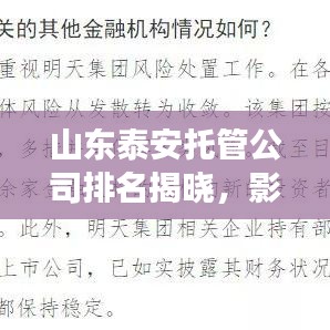 山東泰安托管公司排名揭曉,影響力深度剖析