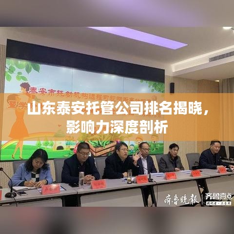 山東泰安托管公司排名揭曉,影響力深度剖析