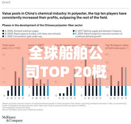 全球船舶公司TOP 20概覽,排名與實力解析