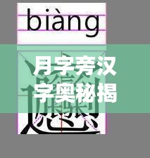 月字旁漢字奧秘揭秘,漢字世界里的神秘之旅