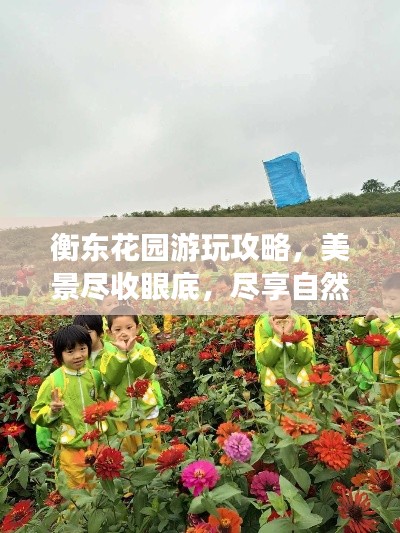 衡東花園游玩攻略，美景盡收眼底，盡享自然之旅！