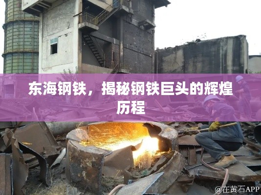 東海鋼鐵,揭秘鋼鐵巨頭的輝煌歷程