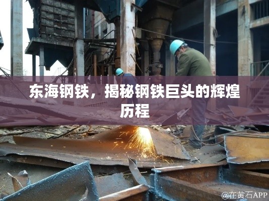 東海鋼鐵,揭秘鋼鐵巨頭的輝煌歷程