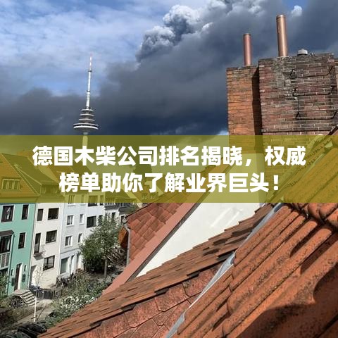 德國(guó)木柴公司排名揭曉,權(quán)威榜單助你了解業(yè)界巨頭!
