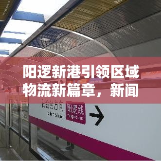 陽邏新港引領區(qū)域物流新篇章,新聞頭條速遞