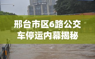 邢臺市區6路公交車停運內幕揭秘,最新動態一網打盡
