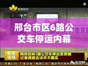 邢臺市區6路公交車停運內幕揭秘,最新動態一網打盡