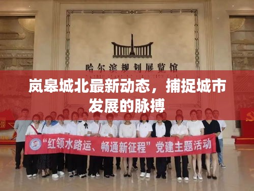 嵐皋城北最新動(dòng)態(tài)，捕捉城市發(fā)展的脈搏