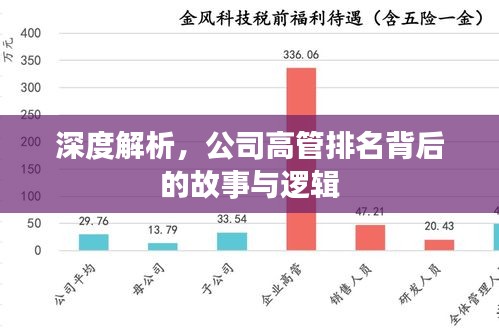 深度解析,公司高管排名背后的故事與邏輯