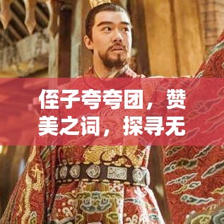 侄子夸夸團(tuán)，贊美之詞，探尋無盡光輝的魅力