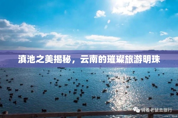 滇池之美揭秘,云南的璀璨旅游明珠