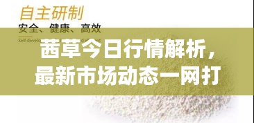 茜草今日行情解析,最新市場(chǎng)動(dòng)態(tài)一網(wǎng)打盡!