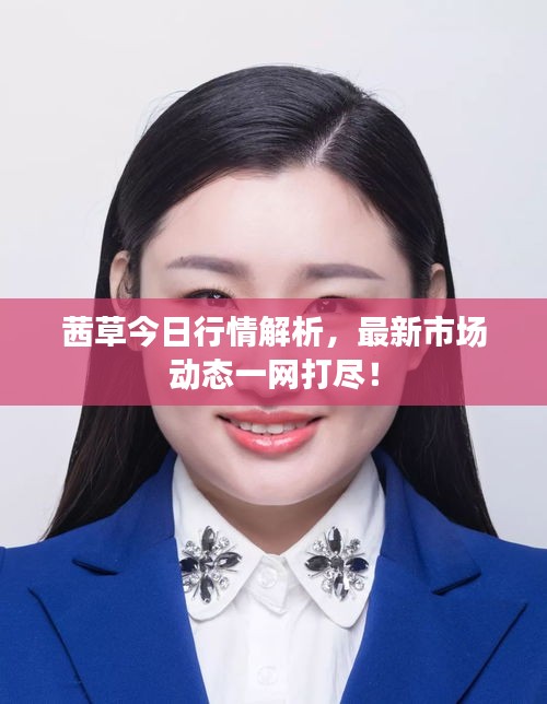 茜草今日行情解析,最新市場(chǎng)動(dòng)態(tài)一網(wǎng)打盡!