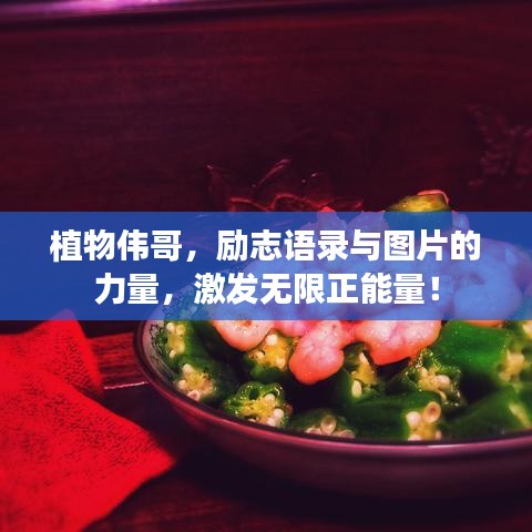 植物偉哥，勵志語錄與圖片的力量，激發無限正能量！