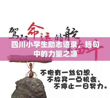 四川小學(xué)生勵志語錄,短句中的力量之源
