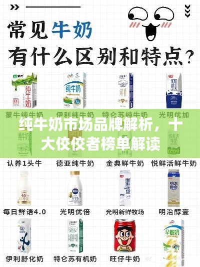 純牛奶市場品牌解析,十大佼佼者榜單解讀