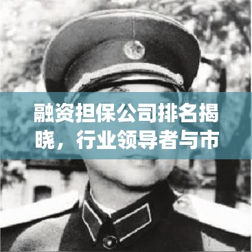 融資擔保公司排名揭曉,行業領導者與市場競爭格局深度解析