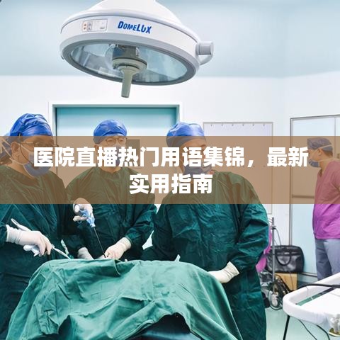 醫院直播熱門用語集錦,最新實用指南