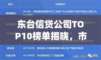 東臺信貸公司TOP10榜單揭曉,市場格局與未來趨勢深度解讀