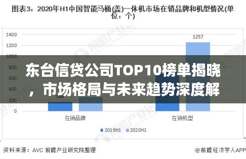 東臺信貸公司TOP10榜單揭曉,市場格局與未來趨勢深度解讀