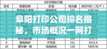 阜陽打印公司排名揭秘,市場概況一網打盡