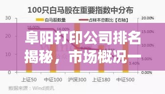 阜陽打印公司排名揭秘,市場概況一網(wǎng)打盡