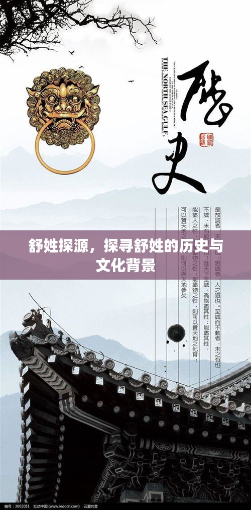 舒姓探源,探尋舒姓的歷史與文化背景