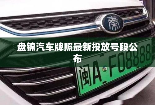盤錦汽車牌照最新投放號(hào)段公布