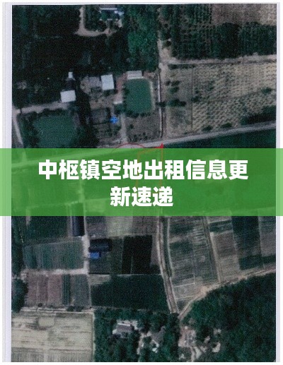 中樞鎮空地出租信息更新速遞