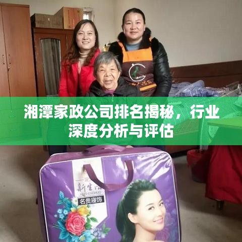 湘潭家政公司排名揭秘,行業(yè)深度分析與評估