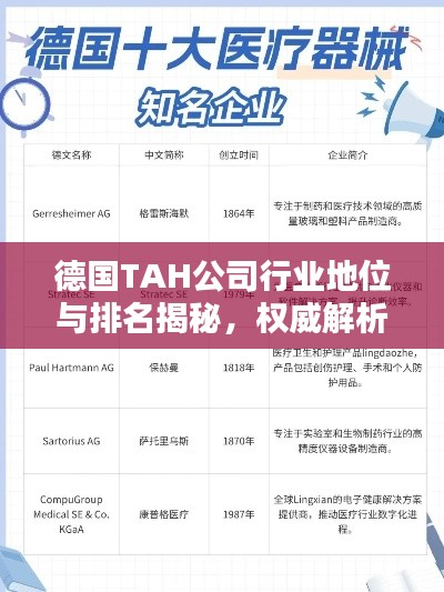 德國TAH公司行業地位與排名揭秘，權威解析引領關注焦點