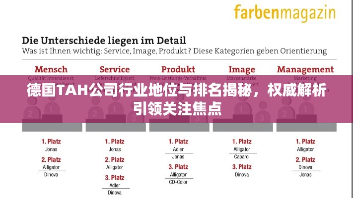德國TAH公司行業地位與排名揭秘,權威解析引領關注焦點