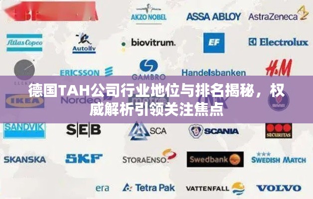 德國TAH公司行業地位與排名揭秘,權威解析引領關注焦點