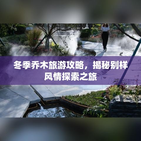 冬季喬木旅游攻略,揭秘別樣風(fēng)情探索之旅
