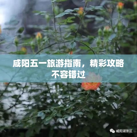 咸陽五一旅游指南,精彩攻略不容錯過