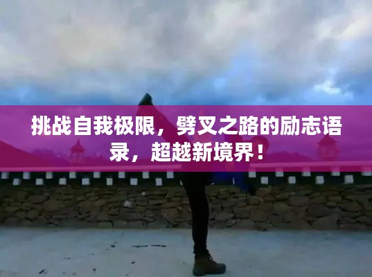 挑戰自我極限,劈叉之路的勵志語錄,超越新境界!