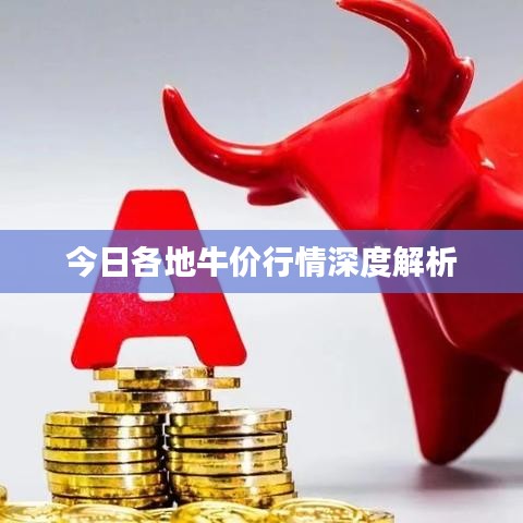 今日各地牛價行情深度解析