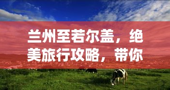 蘭州至若爾蓋,絕美旅行攻略,帶你暢游大自然!