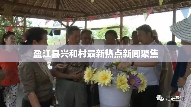 盈江縣興和村最新熱點(diǎn)新聞聚焦