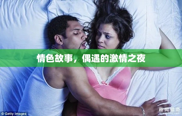 情色故事,偶遇的激情之夜